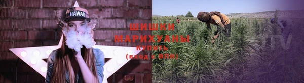 ПСИЛОЦИБИНОВЫЕ ГРИБЫ Белоозёрский