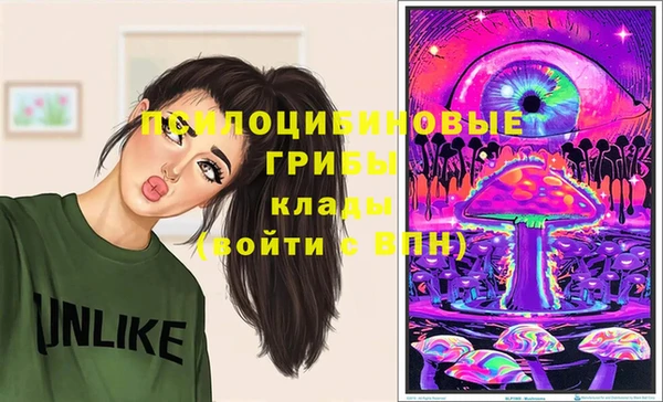 бошки Белокуриха