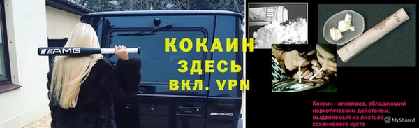 бошки Белокуриха