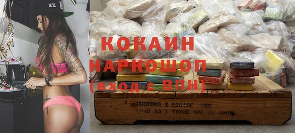 бошки Белокуриха