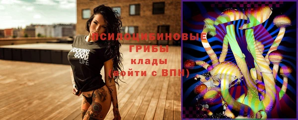 ПСИЛОЦИБИНОВЫЕ ГРИБЫ Белоозёрский
